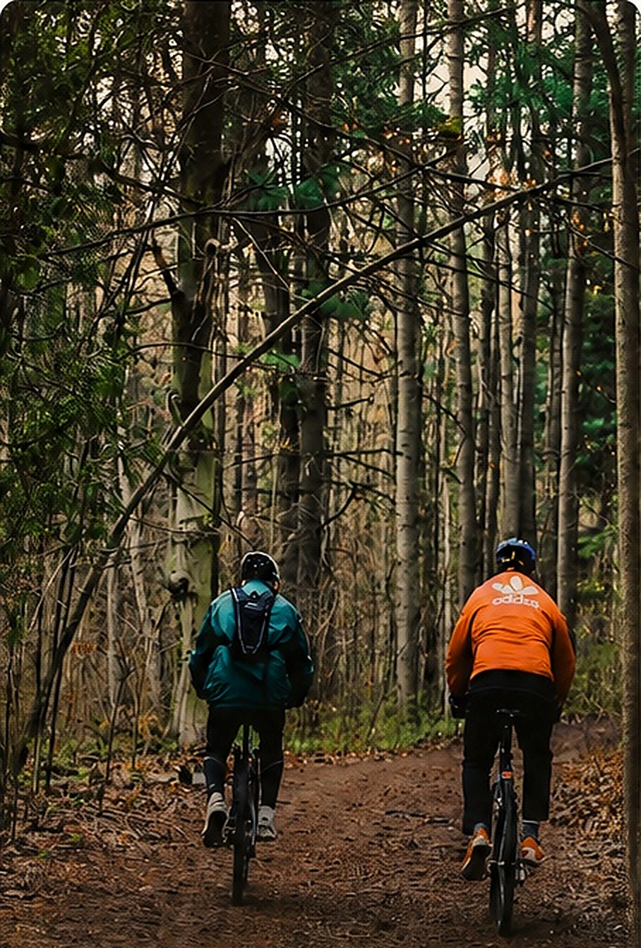 Noleggio biciclette a Volta Mantovana vicino al Mincio